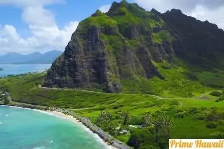 Amazing Beachfront Condo With Ac Laie الولايات المتحدة الأمريكية